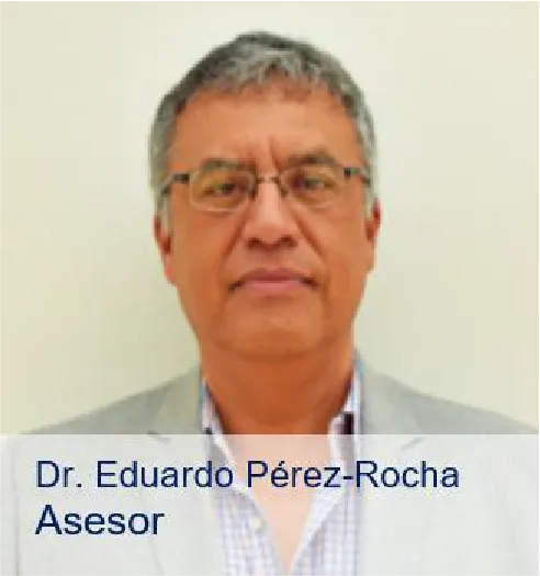 Dr. EDUARDO PÉREZ-ROCHA
