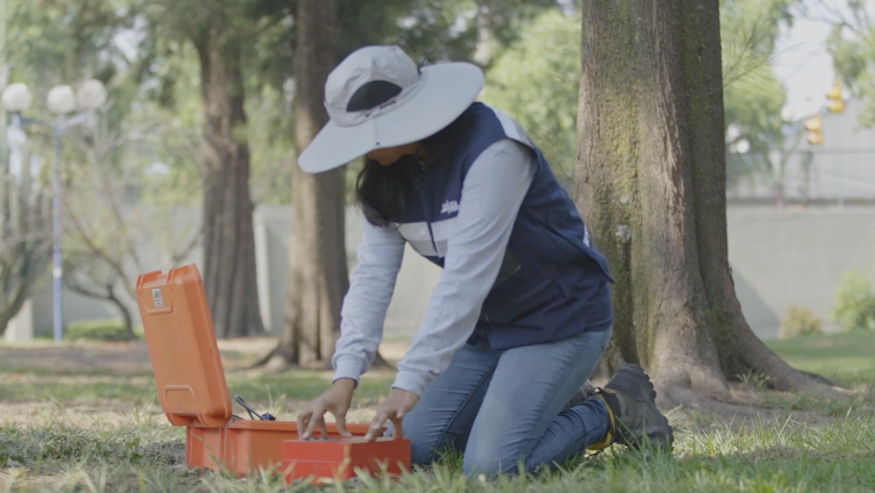 Gráficas de vibración